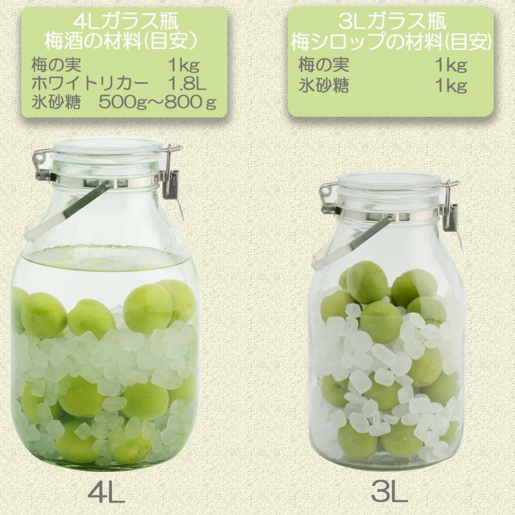 初心者が失敗しないブランデー梅酒の作り方 自家製 Tdk Com